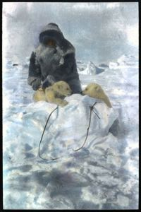 Image of E-tuk-ah-suk with Polar Bear Cubs